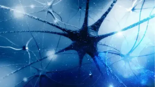 10 Common Diseases of the Nervous System